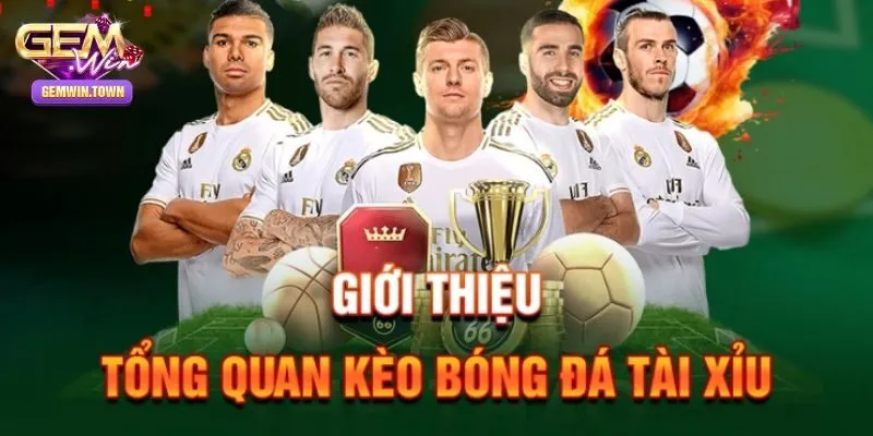 Tỷ lệ tài xỉu - kèo cược hấp dẫn