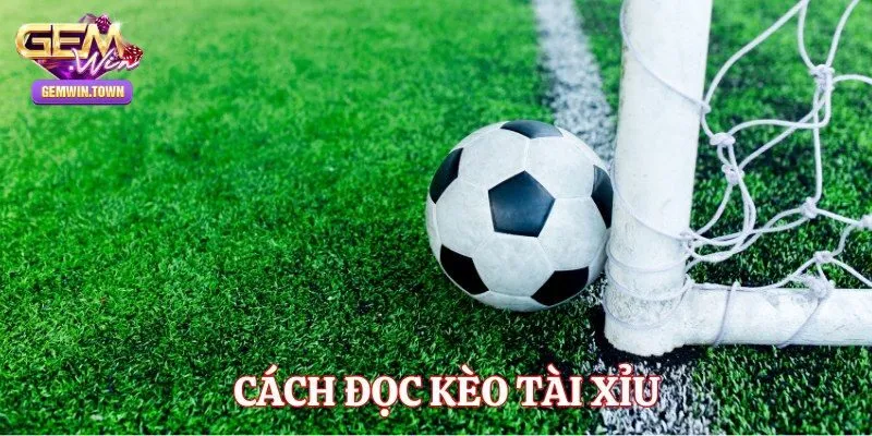 Giải đáp cách đọc kèo bóng tài xỉu cơ bản
